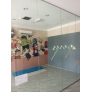 Frameless 12mm Tempered Glass Partition