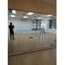 Frameless 12mm Tempered Glass Partition