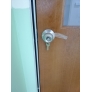 Nyatoh Plywood Door