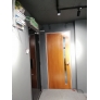 Nyatoh Plywood Door