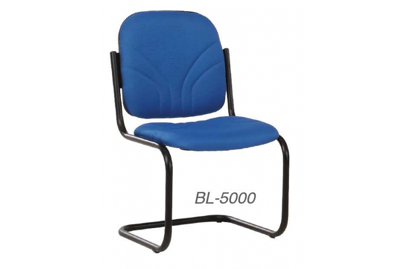 BL-500 SERIES      Medium Density Foam Seat     12 Months Limited Product Warranty     Type : Fabric only