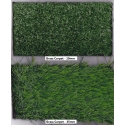 Grass Sample