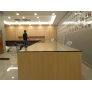 Frameless 12mm Tempered Glass Partition