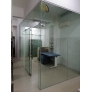 Frameless 12mm Tempered Glass Door 