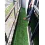 Grass Sample