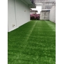 Grass Sample