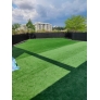 Grass Sample